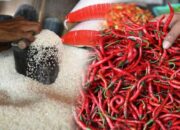 Harga Pangan 25 Mei 2025, Beras Masih Melambung, Cabai Mulai Mendingin