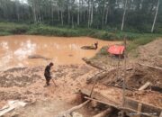 “APH Diam, Bupati Harus Bertindak!” Tokoh Adat Siap Menghadap Bupati Way Kanan