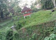 Wajah Kabupaten Waykanan Memudar di Jantung Pemerintahan