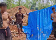 Pemkab Way Kanan Lampung Gelar RDP, Kerusakan Lahan PTPN 7 Kian Parah