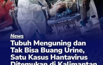 Satu Kasus Hantavirus Ditemukan di Kalbar, Pasien Meninggal Sehari Dirawat