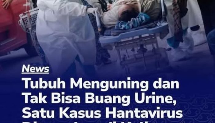 Satu Kasus Hantavirus Ditemukan di Kalbar, Pasien Meninggal Sehari Dirawat