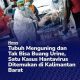 Satu Kasus Hantavirus Ditemukan di Kalbar, Pasien Meninggal Sehari Dirawat